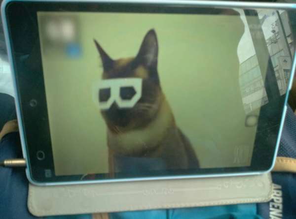 小米15Pro，能用多少年不卡(就日常能用多少年不卡？) 10