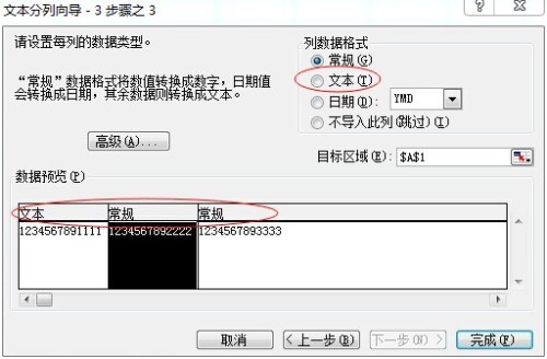 EXCEL表格中数字要求改为文本格式，但是格式变成文本格式却出现+号无奈