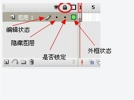 flash 中都是可以导入哪些视频？