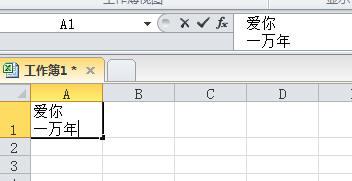 在excel中一个表格中怎么样输入两行字