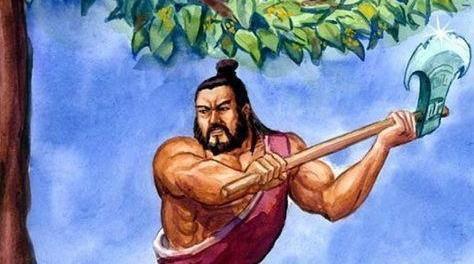桂花树会结果吗？
