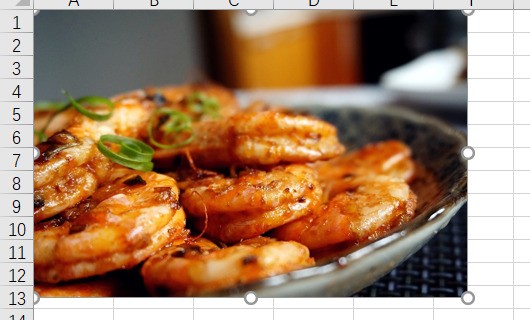 EXCEL插入表格图片的时候怎么让图片自动变成表格的大小