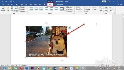 怎么样替换word中的图片