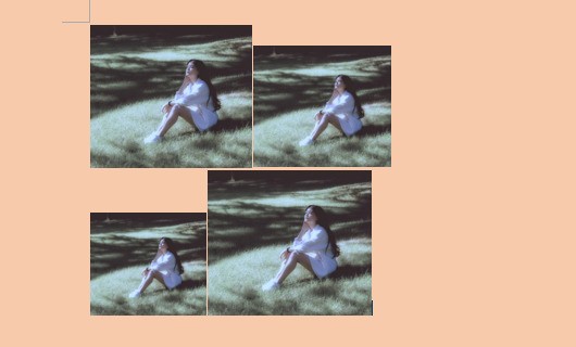 文档的图片怎么替换