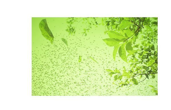 制作PP来自T时插入的图片比率怎么调