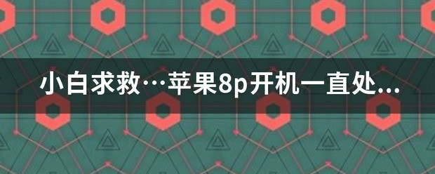 魔兽新手,求救!!