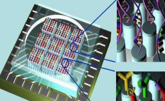 基因芯片的发展历史