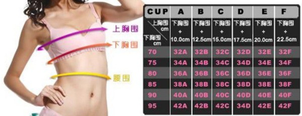 我应该怎样选文胸尺码??