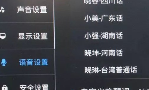 汽车唤醒词用什么好