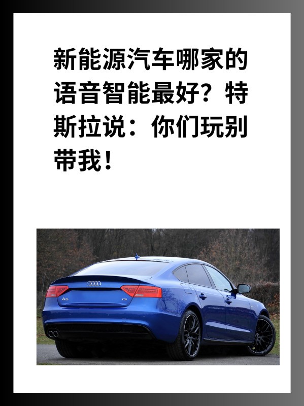 新能源汽车哪家的語音智能最好