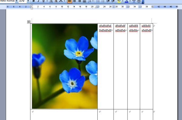 word中肿么把图片的一半显示出来?