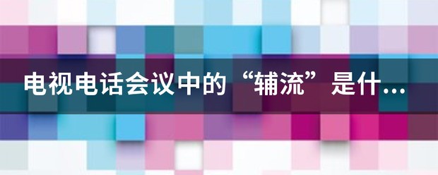 电视电话会来自议中的“辅流”是什么意思？