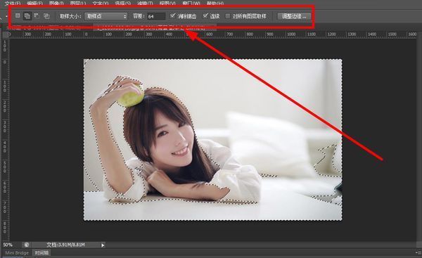 ps cc 软件的魔法棒在哪里