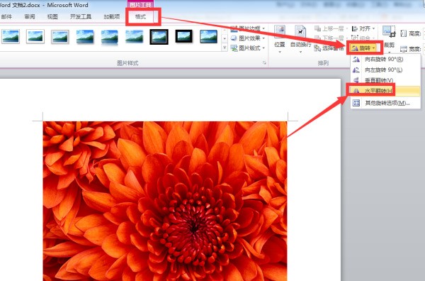 怎么对w来自ord进行页码编号