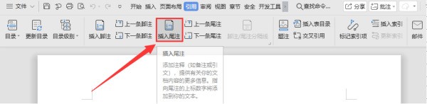 WORD文档怎么添加尾注和内容?