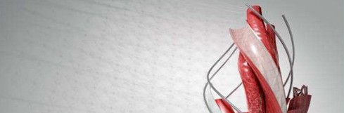 cad许可证过期怎么修好 修好方法介绍