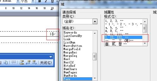 在word中怎么将页码设置成罗马数字呢?