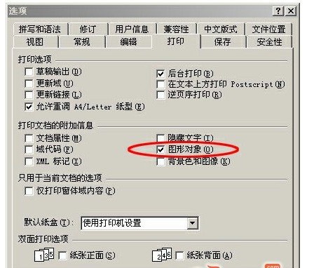 Word转Pdf时总出现问题怎么处理