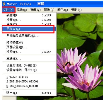 w层ord中怎么改复制过来的字！在里头那些文字以图片形式显示的