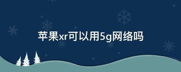 Apple X可以用5g网络吗?