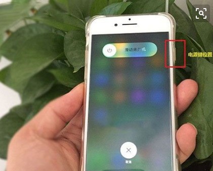 苹果5S为何在室内没有信号