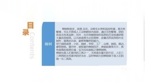 怎样快速检测PPT里的错别字？