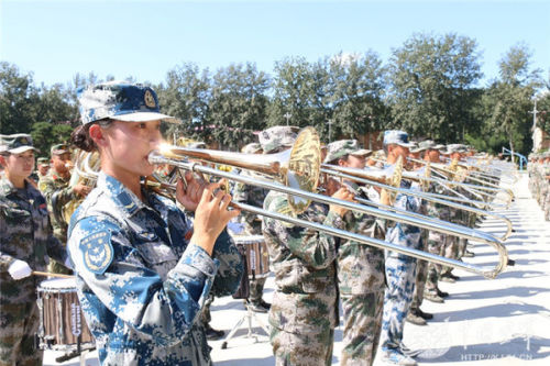 轻骑兵的软件开发平台