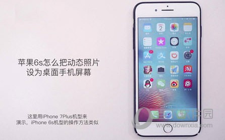 iphone怎么共享位置 原本只需3步