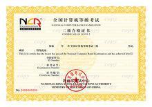 软件设计师是计算机等级考试中的一种吗？