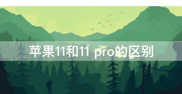 苹果11和苹果11pro和苹果12参数对比？