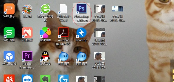 补来自充谚语