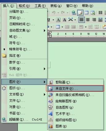 肿么把jpg格式的图片插入word文档的表格里？