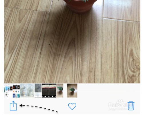 iphone6 plus怎样设置壁纸