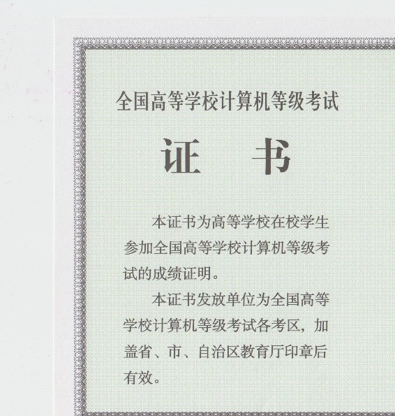 计算机应用基础无纸化考试用的什么系统？也就是Word Excel用的是哪个版本的？