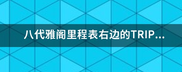 八代雅阁里程表右边的TRIP