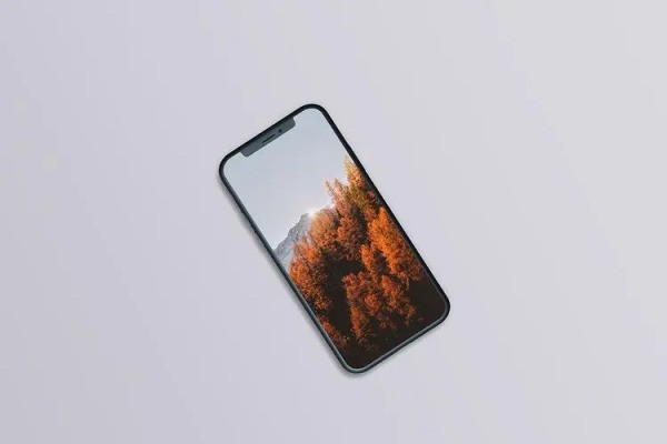 iphone咖色屏保怎样设置苹果手机的壁纸主题在哪里设置