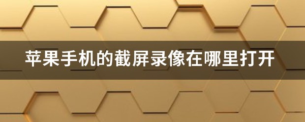 苹果手机录像肿么打开派克风？