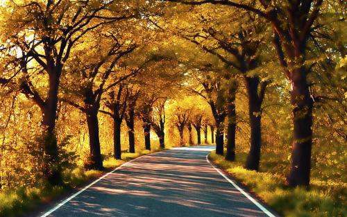 用ps怎样裁剪相片的像素？