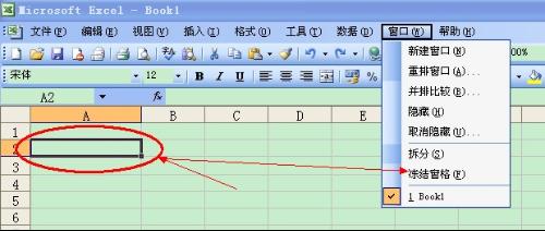 Excel 上下不动，中间数据区滚动的表格可以做吗