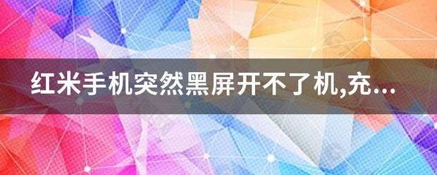 手机黑屏充电也没反应是怎么回事呢视频