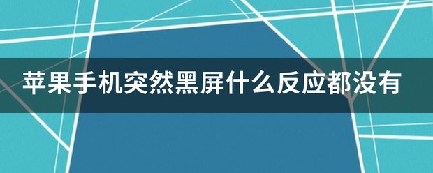 苹果手机忽然黑屏什么反应都没有