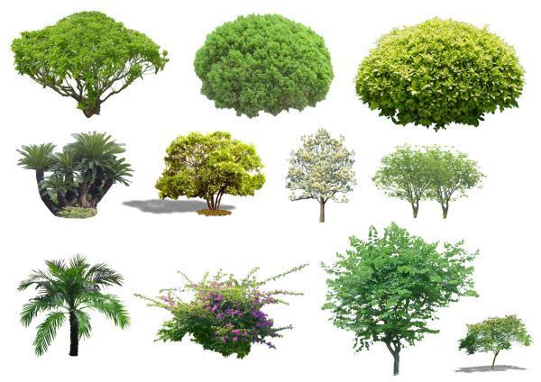 怎样做建筑平面图?