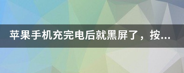 苹果手机充完电后就黑屏了，按了开机键也没反应，该怎么处理？