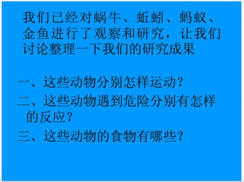 怎么写课件特点