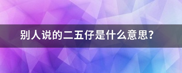 他人说的二五仔是什么意思？