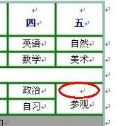 WORD怎么只显示文字不显示表格?