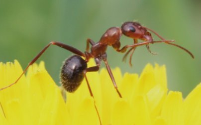 幼师怎么样上好幼儿园公开课