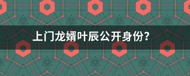 上门龙婿叶辰公开身份？