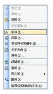 word里肿么固定字体