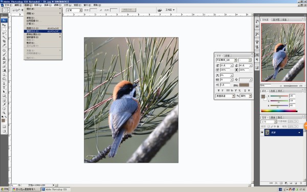 怎么在ps里查看导入图片的大小